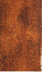 Rusted Paint